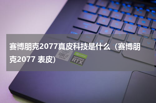 赛博朋克2077真皮科技是什么（赛博朋克2077 表皮）