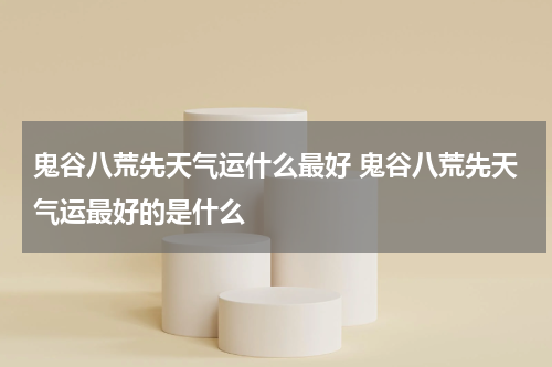 鬼谷八荒先天气运什么最好 鬼谷八荒先天气运最好的是什么