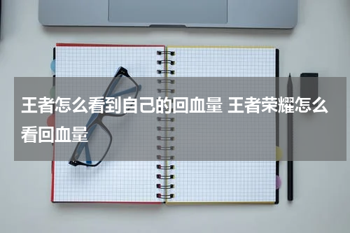 王者怎么看到自己的回血量 王者荣耀怎么看回血量