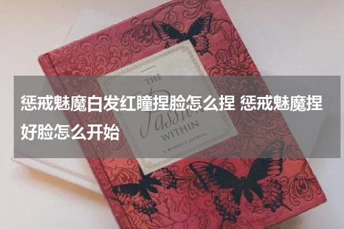 惩戒魅魔白发红瞳捏脸怎么捏 惩戒魅魔捏好脸怎么开始