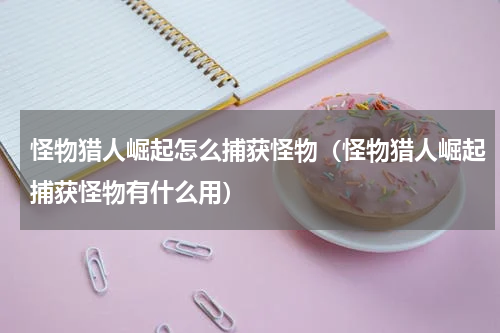 怪物猎人崛起怎么捕获怪物（怪物猎人崛起捕获怪物有什么用）