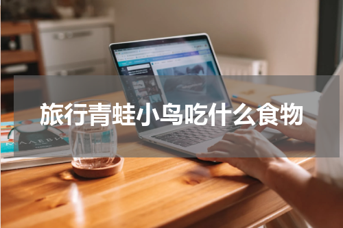 旅行青蛙小鸟吃什么食物