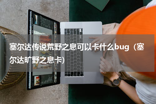 塞尔达传说荒野之息可以卡什么bug(塞尔达旷野之息卡)