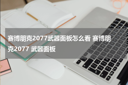 赛博朋克2077武器面板怎么看 赛博朋克2077 武器面板