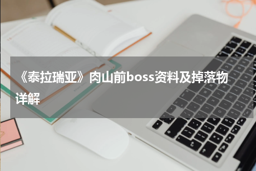 《泰拉瑞亚》肉山前boss资料及掉落物详解