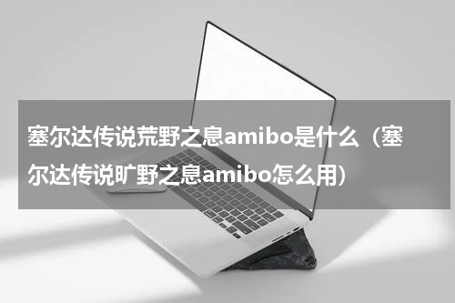 塞尔达传说荒野之息amibo是什么（塞尔达传说旷野之息amibo怎么用）