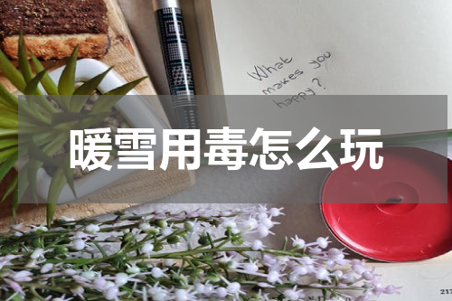 暖雪用毒怎么玩