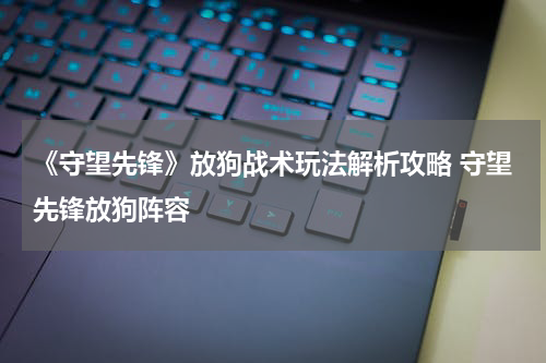 《守望先锋》放狗战术玩法解析攻略 守望先锋放狗阵容