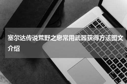 塞尔达传说荒野之息常用武器获得方法图文介绍