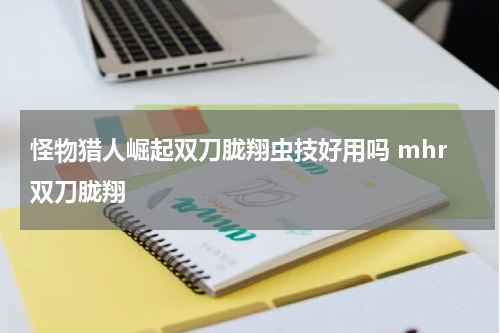 怪物猎人崛起双刀胧翔虫技好用吗 mhr双刀胧翔
