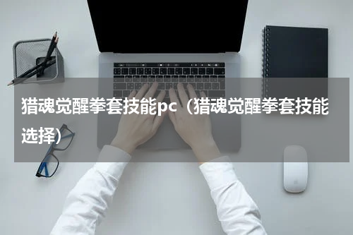 猎魂觉醒拳套技能pc(猎魂觉醒拳套技能选择)