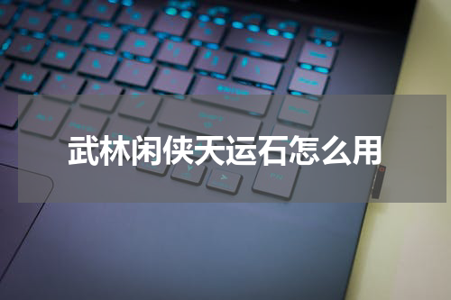 武林闲侠天运石怎么用