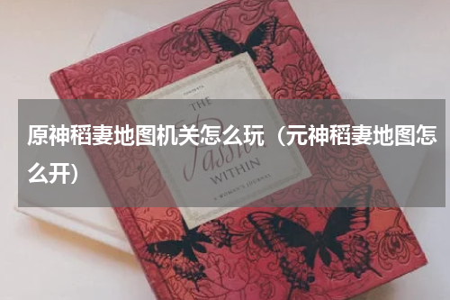 原神稻妻地图机关怎么玩（元神稻妻地图怎么开）