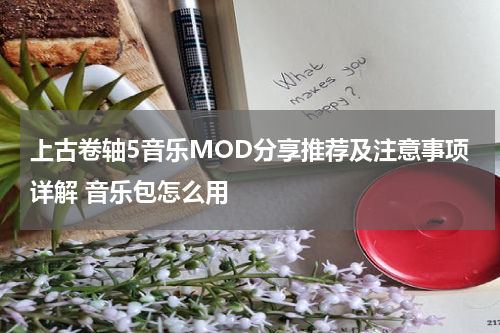 上古卷轴5音乐MOD分享推荐及注意事项详解 音乐包怎么用