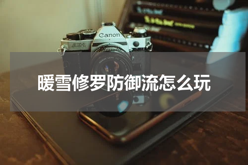 暖雪修罗防御流怎么玩