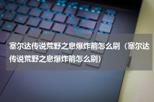 塞尔达传说荒野之息爆炸箭怎么刷（塞尔达传说荒野之息爆炸箭怎么刷）