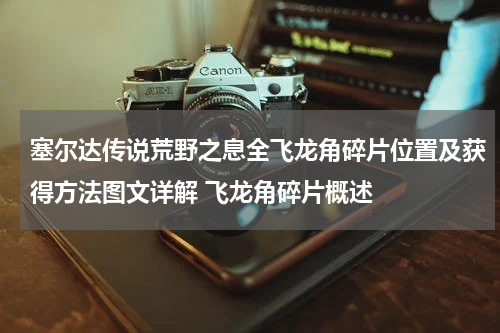 塞尔达传说荒野之息全飞龙角碎片位置及获得方法图文详解 飞龙角碎片概述