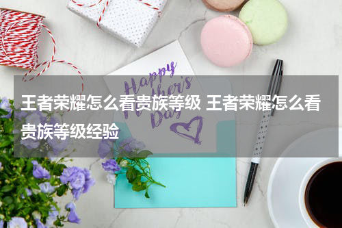 王者荣耀怎么看贵族等级 王者荣耀怎么看贵族等级经验