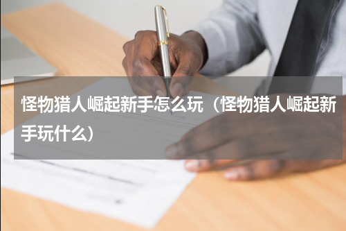 怪物猎人崛起新手怎么玩（怪物猎人崛起新手玩什么）