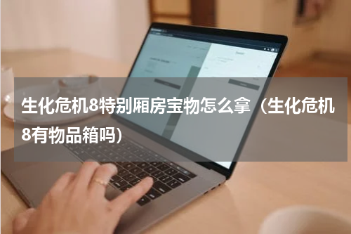 生化危机8特别厢房宝物怎么拿(生化危机8有物品箱吗)