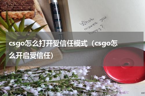 csgo怎么打开受信任模式（csgo怎么开启受信任）