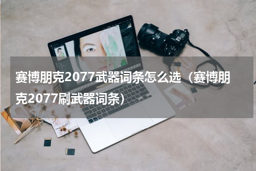 赛博朋克2077武器词条怎么选（赛博朋克2077刷武器词条）