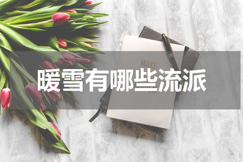 暖雪有哪些流派