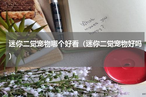 迷你二觉宠物哪个好看（迷你二觉宠物好吗）