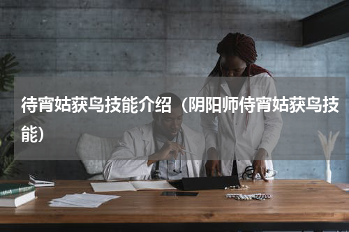 待宵姑获鸟技能介绍(阴阳师侍宵姑获鸟技能)