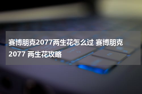 赛博朋克2077两生花怎么过 赛博朋克2077 两生花攻略