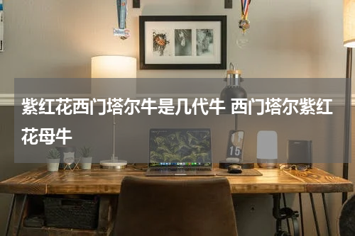 紫红花西门塔尔牛是几代牛 西门塔尔紫红花母牛