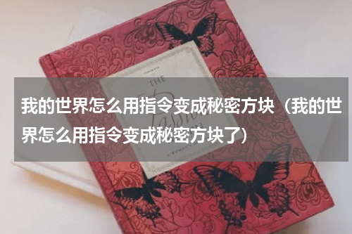 我的世界怎么用指令变成秘密方块（我的世界怎么用指令变成秘密方块了）