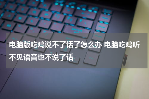 电脑版吃鸡说不了话了怎么办 电脑吃鸡听不见语音也不说了话