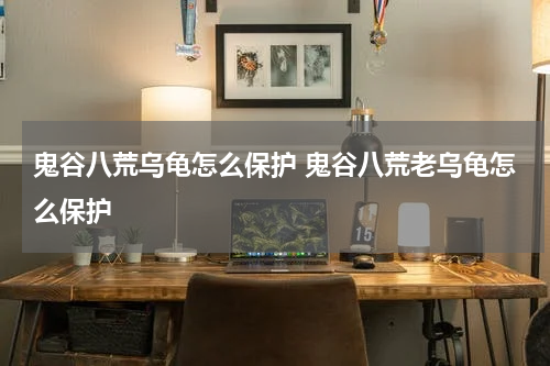 鬼谷八荒乌龟怎么保护 鬼谷八荒老乌龟怎么保护