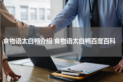 食物语太白鸭介绍 食物语太白鸭百度百科