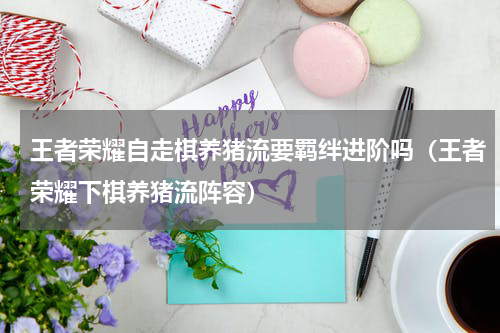 王者荣耀自走棋养猪流要羁绊进阶吗（王者荣耀下棋养猪流阵容）