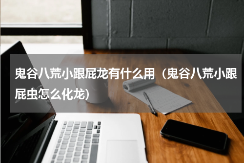 鬼谷八荒小跟屁龙有什么用（鬼谷八荒小跟屁虫怎么化龙）