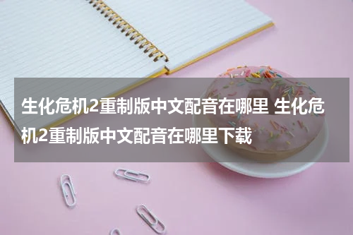 生化危机2重制版中文配音在哪里 生化危机2重制版中文配音在哪里下载