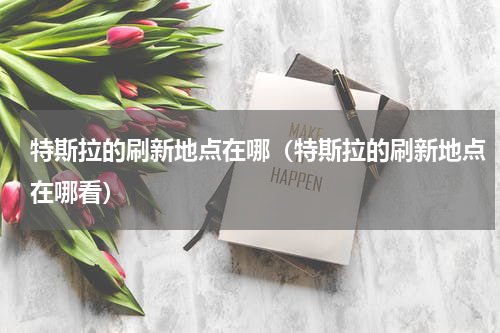 特斯拉的刷新地点在哪（特斯拉的刷新地点在哪看）