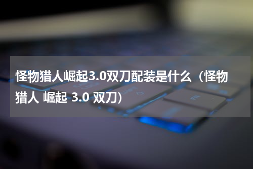 怪物猎人崛起3.0双刀配装是什么（怪物猎人 崛起 3.0 双刀）