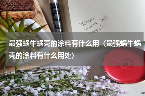 最强蜗牛蜗壳的涂料有什么用（最强蜗牛蜗壳的涂料有什么用处）