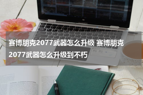 赛博朋克2077武器怎么升级 赛博朋克2077武器怎么升级到不朽