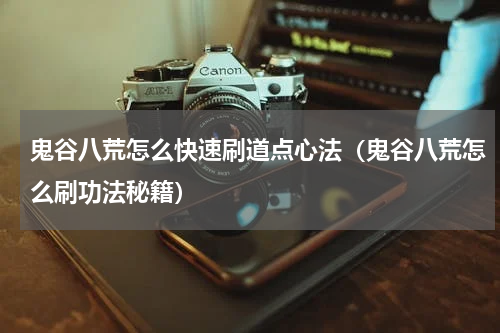 鬼谷八荒怎么快速刷道点心法（鬼谷八荒怎么刷功法秘籍）