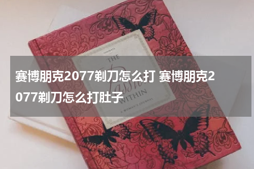 赛博朋克2077剃刀怎么打 赛博朋克2077剃刀怎么打肚子